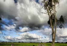 开云体育-包含比赛规则变更引发热议！，詹姆斯在西班牙队比赛中战术调整赢得满堂喝彩的词条